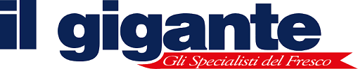 ilgigante-logo